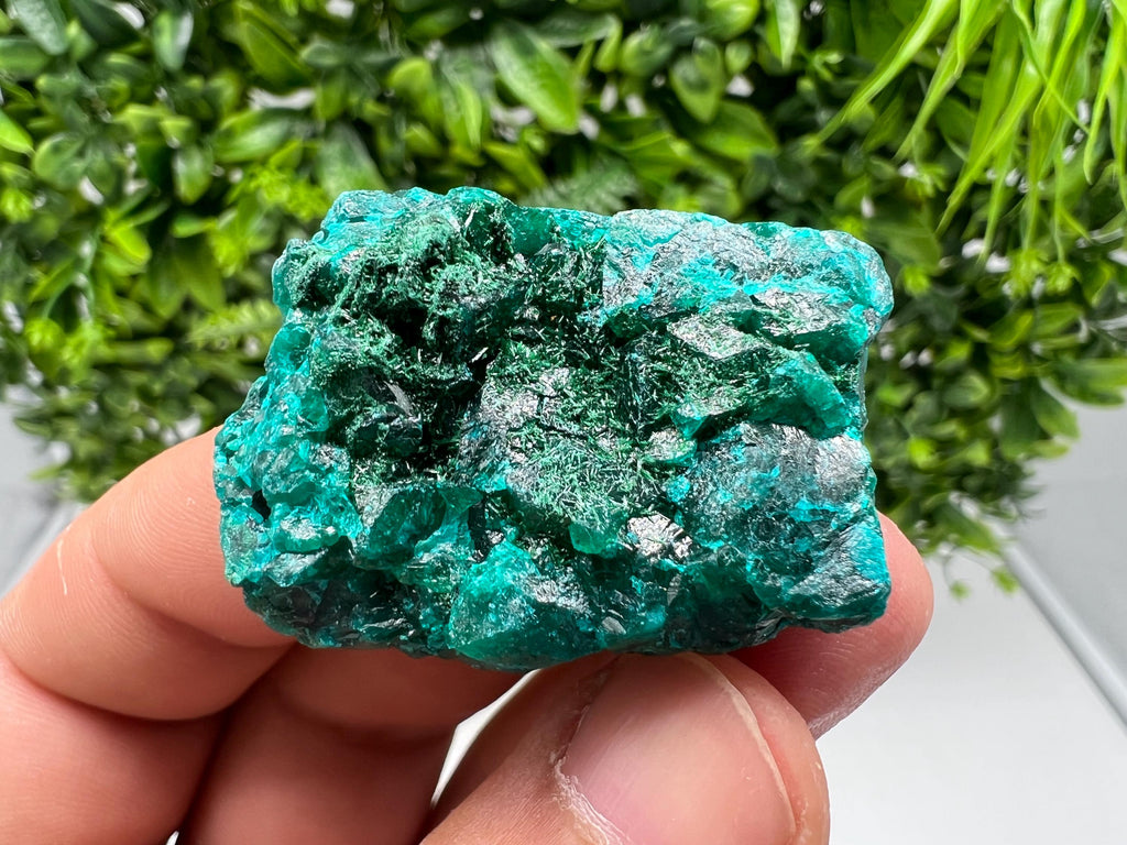 Stunning Green Dioptase from Sanda Hills,Mindouli,Pool Department,Mindouli District,Congo,green Dioptase,Dioptas Crystal,Dioptase collecting