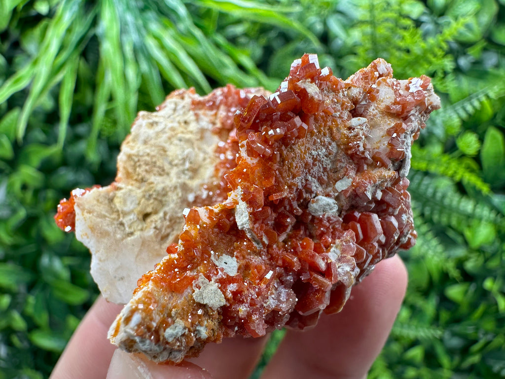 Red Vanadinite Crystal Cluster on Matrix, Morocco Mineral Specimen