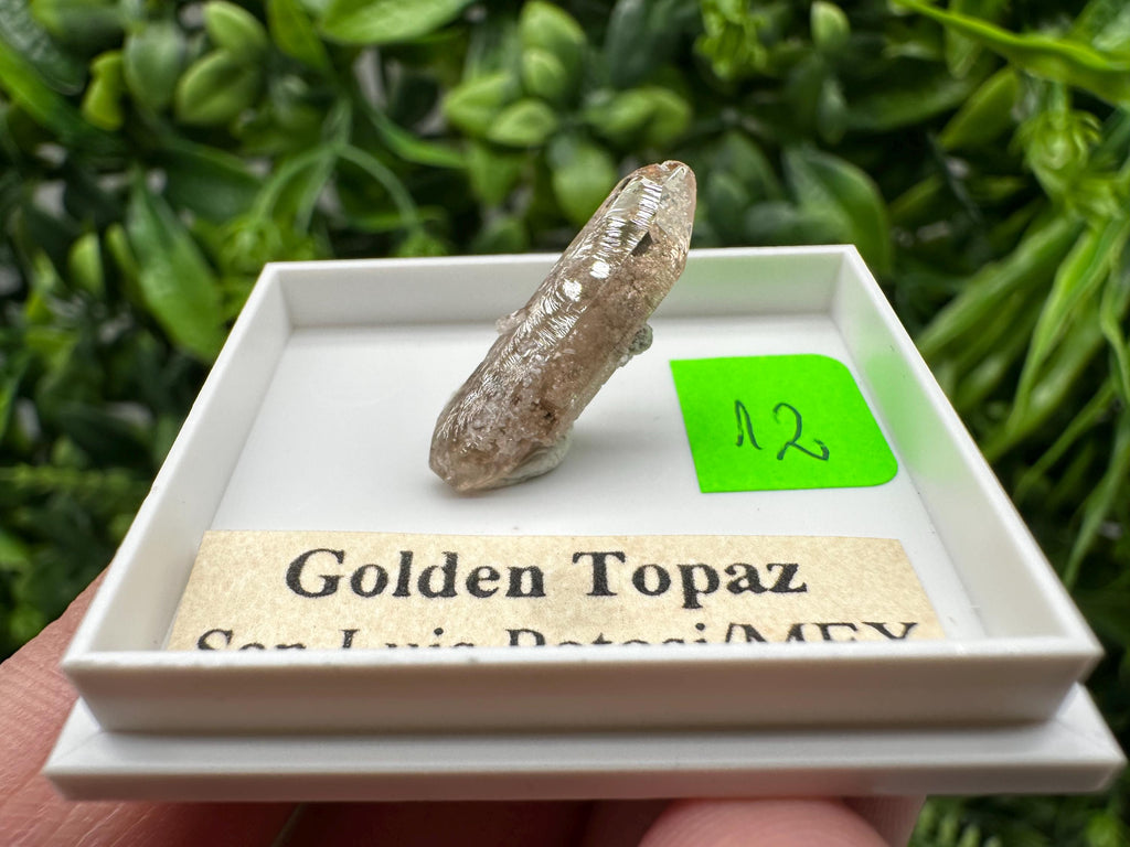 Golden Topaz Crystal, Mineral Specimen from Mexico