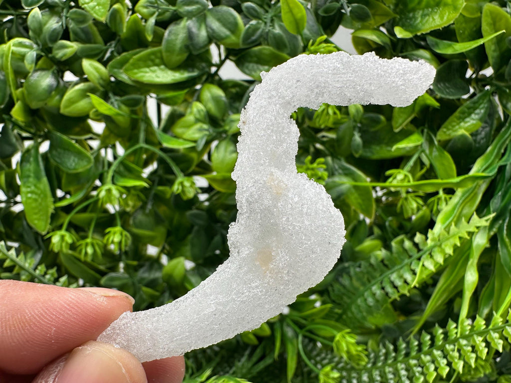 Ram's Horn Selenite Gypsum, Guizhou China, Fluorescent Mineral Specimen