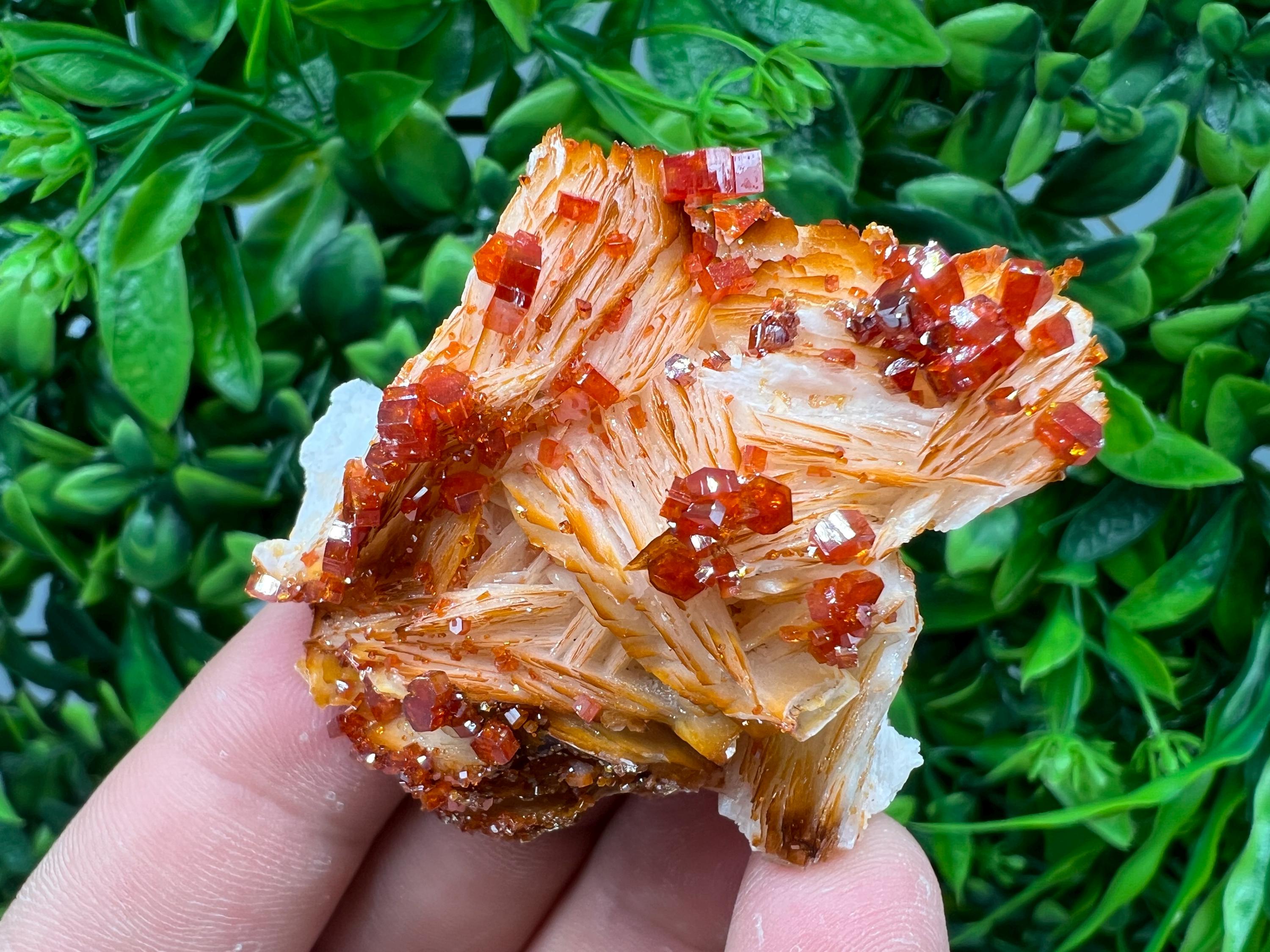 Red Vanadinite on Barite from Marocco,crystal minerals Speciment cluster Vanadinite crystal Vanadinite Geology Vanadinite cluster minerals