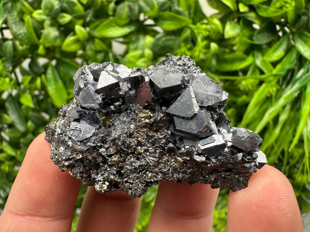 Aesthetic Sphalerite,Galena whit Chlorite from Borieva mine Madan Bulgaria natural minerals souvenir crystal gift home decor stone rock