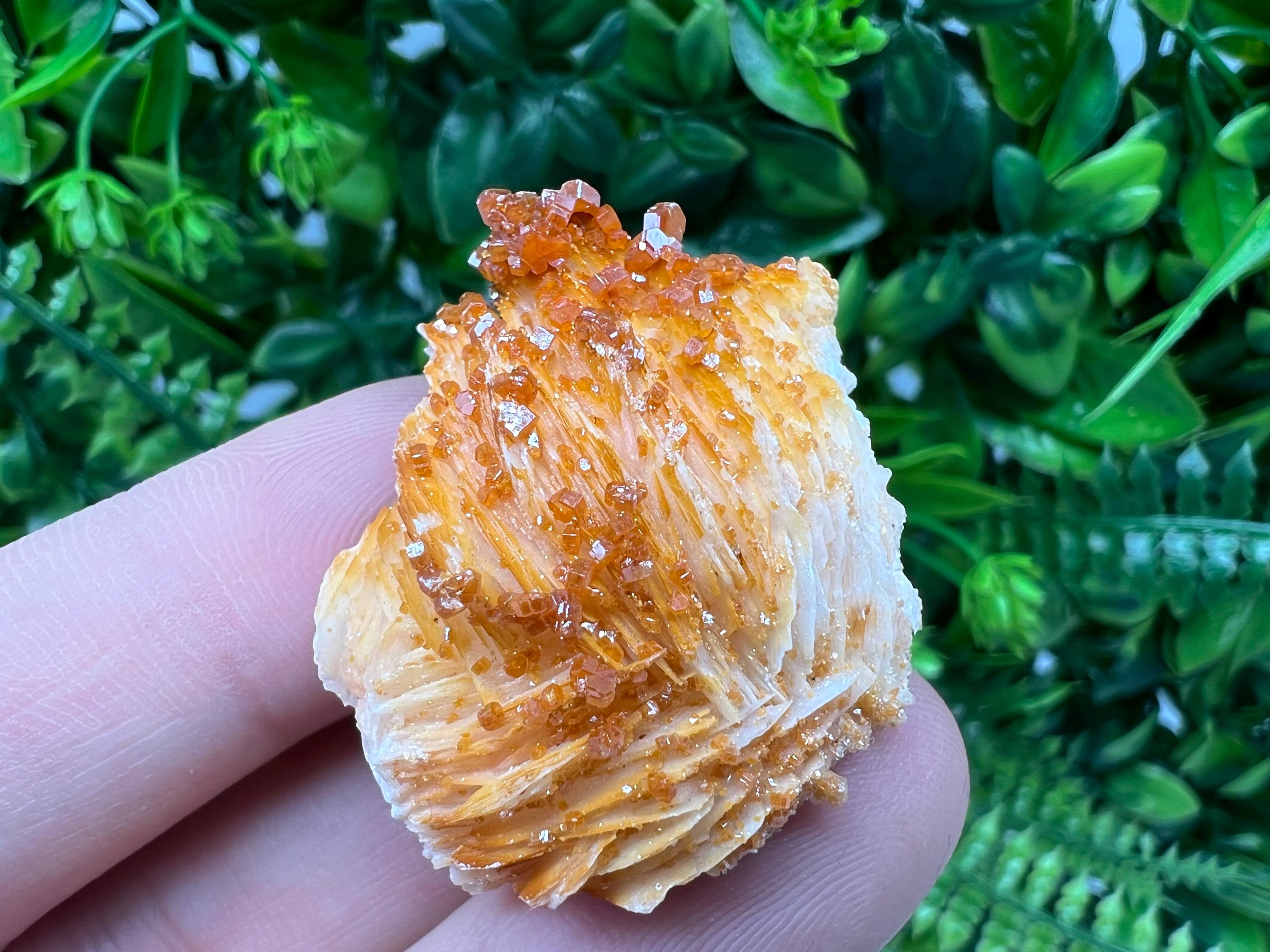 Red Vanadinite on Barite from Marocco,crystal minerals Speciment cluster Vanadinite crystal Vanadinite Geology Vanadinite cluster minerals