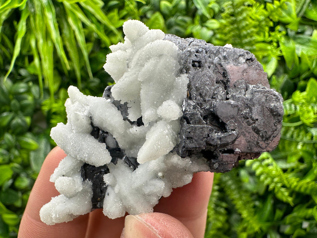 Rare Calcite on Galena: Borieva Mine, Bulgaria