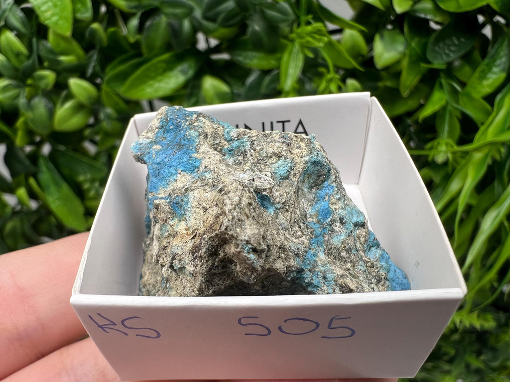 Rare Raw Aerinite Mineral Specimen: Lleida Spain Crystal Collection