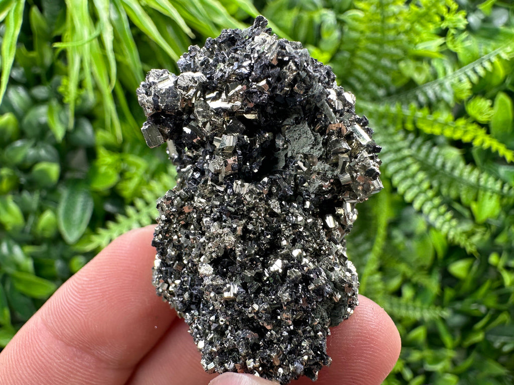 Pyrite on Quartz Needles: Borieva Mine Bulgaria Crystal Decor