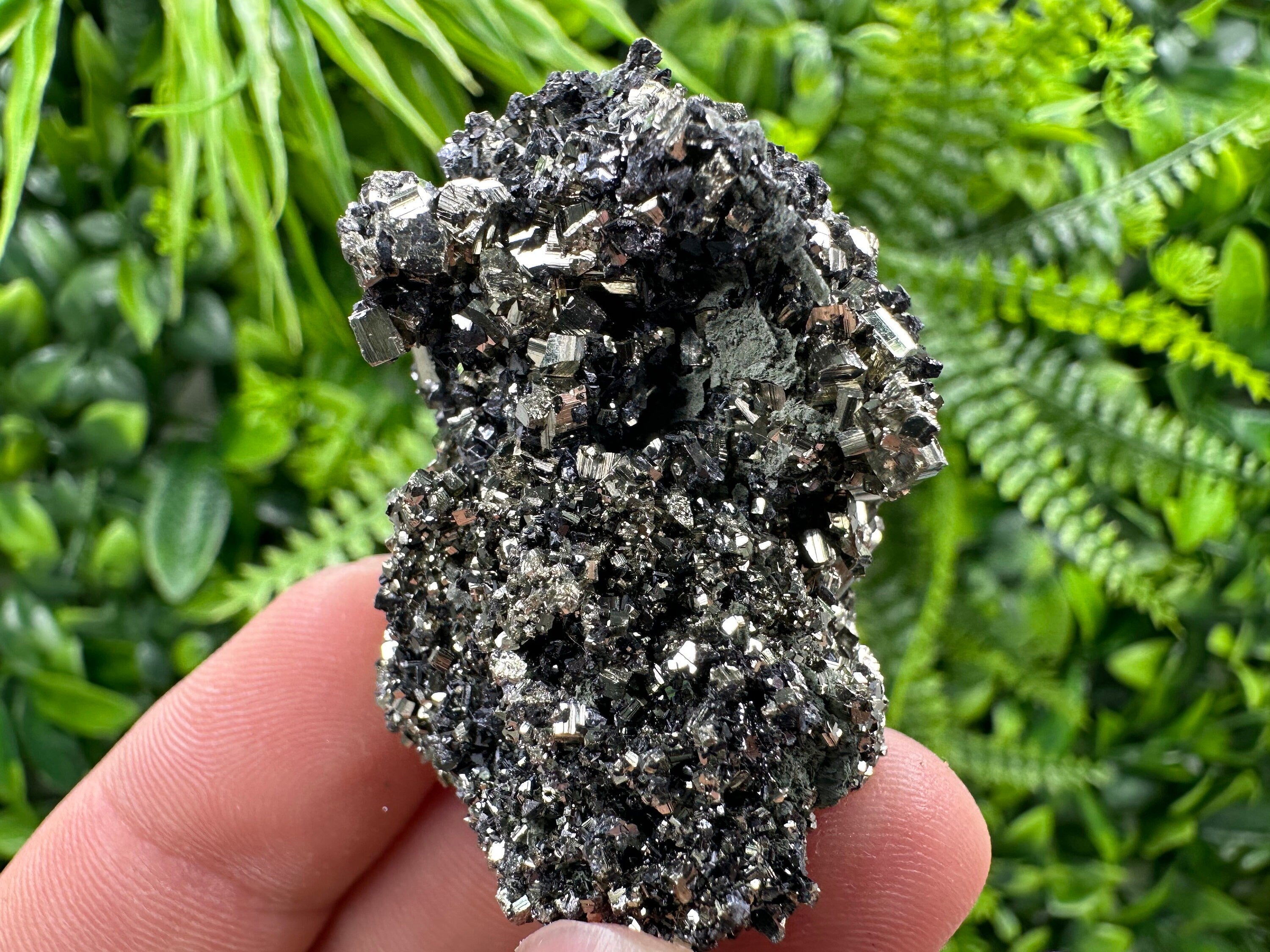 Pyrite on Quartz Needles: Borieva Mine Bulgaria Crystal Decor