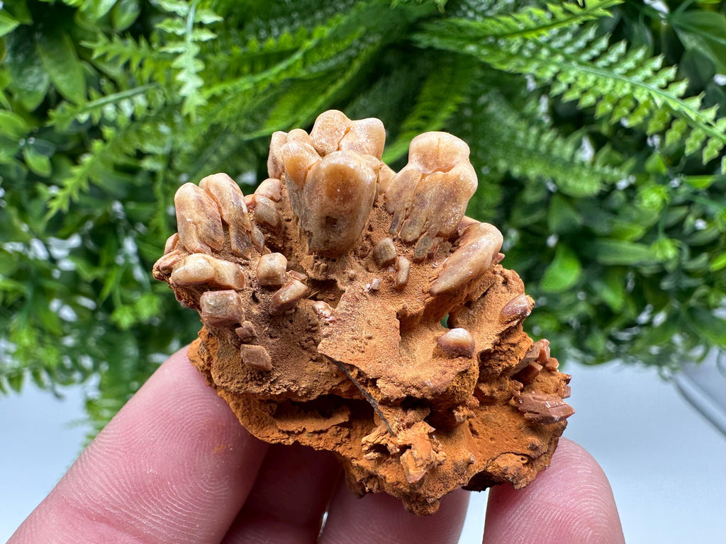 Brown Gypsum Selenite Crystal, Rudna Mine Mineral Specimen