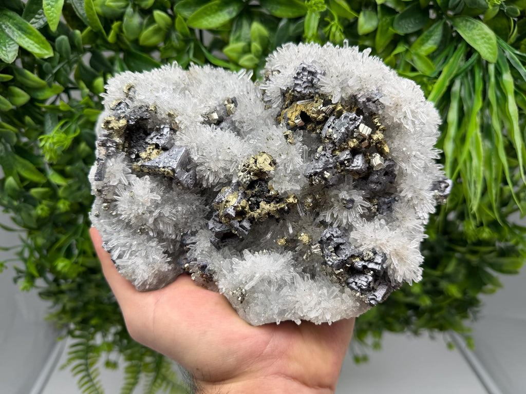 Sphalerite Chalcopyrite Galena on Quartz, 9th September Mine Mineral Specimen