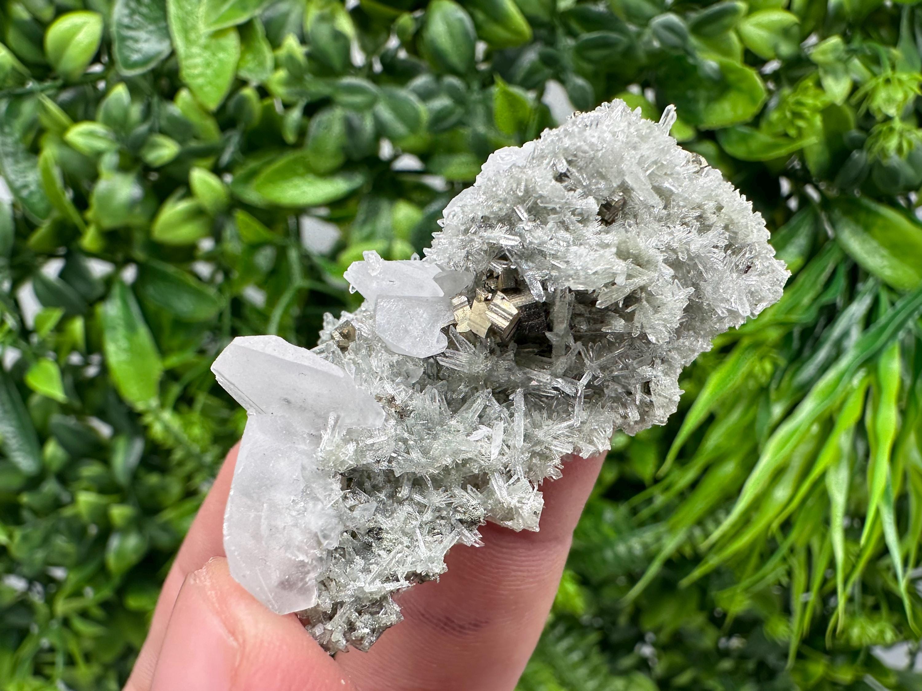 Pyrite on Green Quartz Mineral Specimen, Borieva Mine