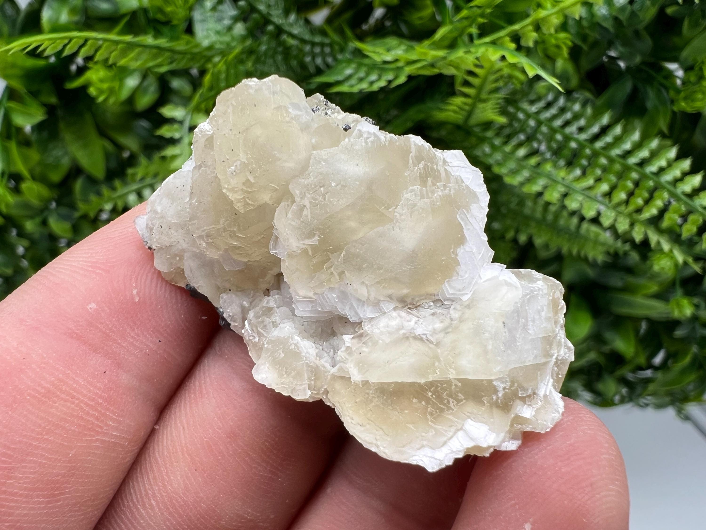 Calcite on Galena Specimen: Borieva Mine, Bulgaria