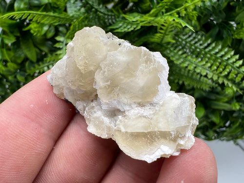Calcite on Galena Specimen: Borieva Mine, Bulgaria