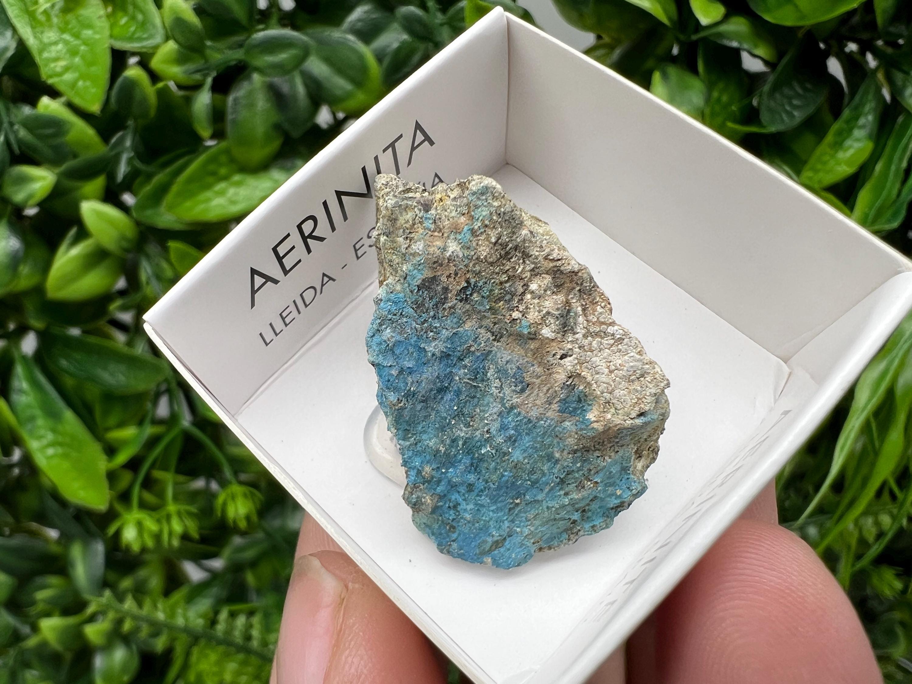 Rare Raw Aerinite Mineral Specimen: Lleida, Spain Crystal Collection