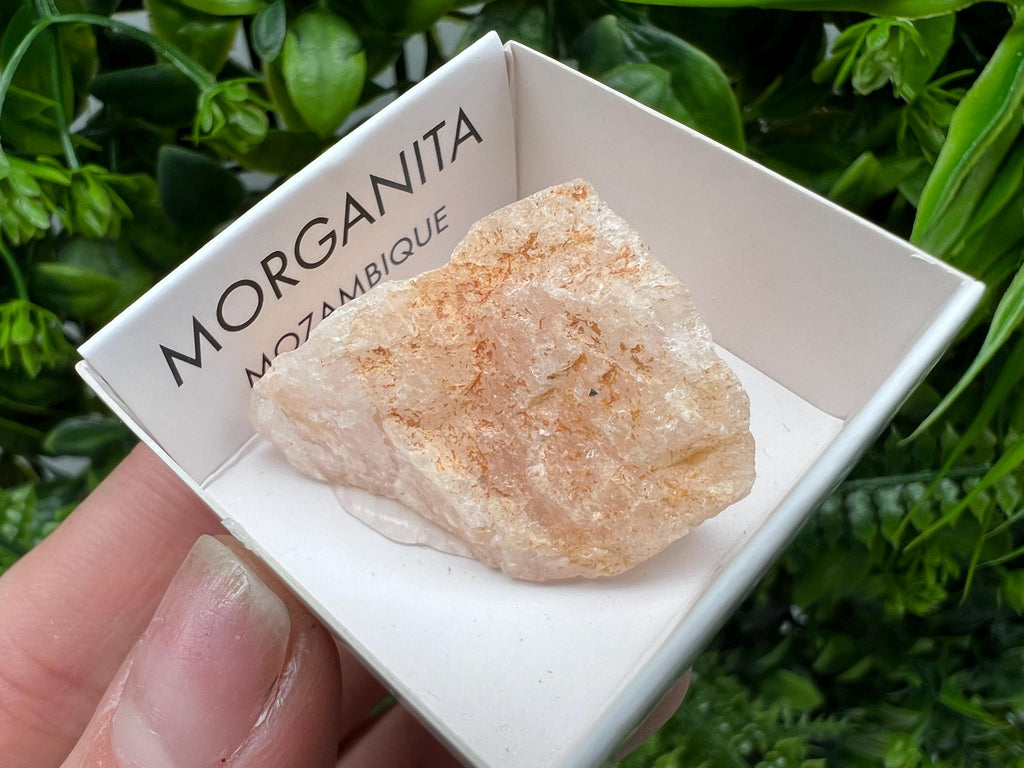 Rare Raw Morganite Specimen: Mozambique Crystal Collection (3/3.5cm)