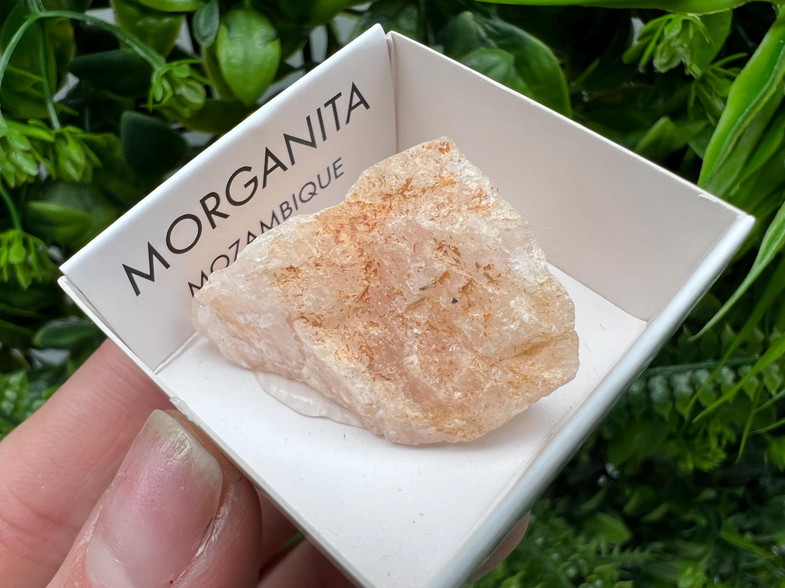 Rare Raw Morganite Specimen: Mozambique Crystal Collection (3/3.5cm)