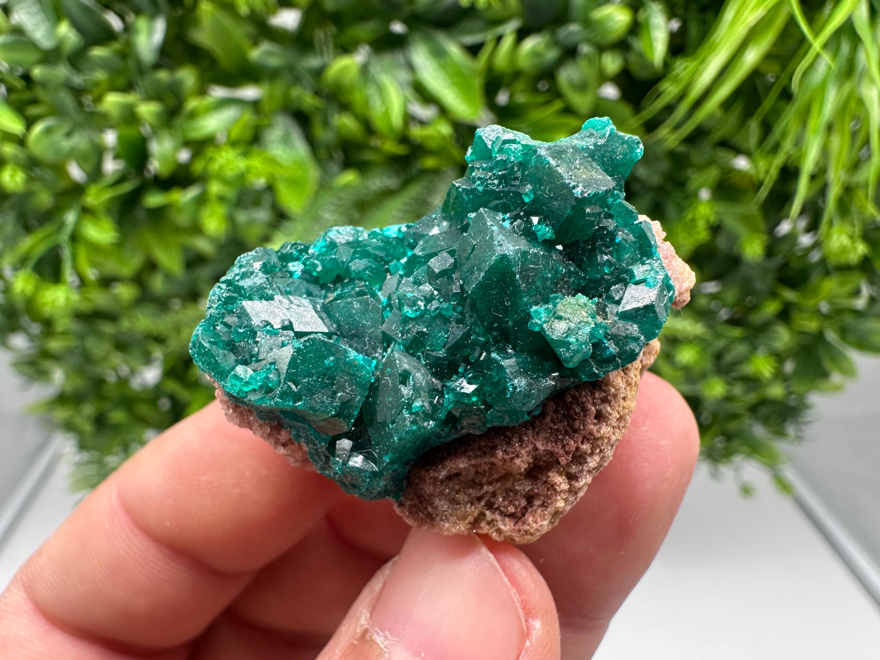 Stunning Green Dioptase from Sanda Hills,Mindouli,Pool Department,Mindouli District,Congo,green Dioptase,Dioptas Crystal,Dioptase collecting