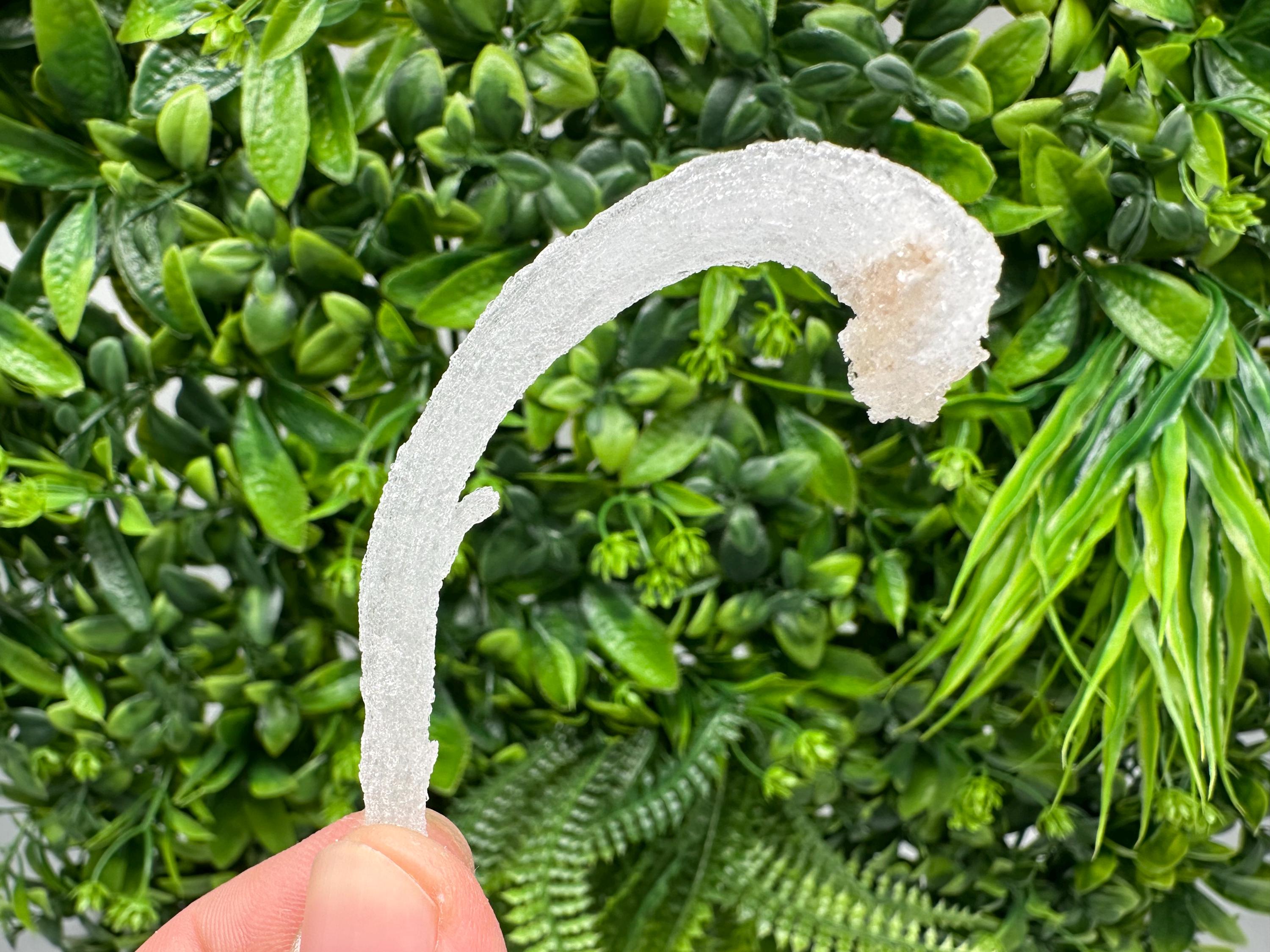 White Selenite Gypsum "Ram's Horn'' Selenite,from Guizhou,China,perfect Shape and Luster,Fluorescent Selenite Gypsum,minerals specimen,colle