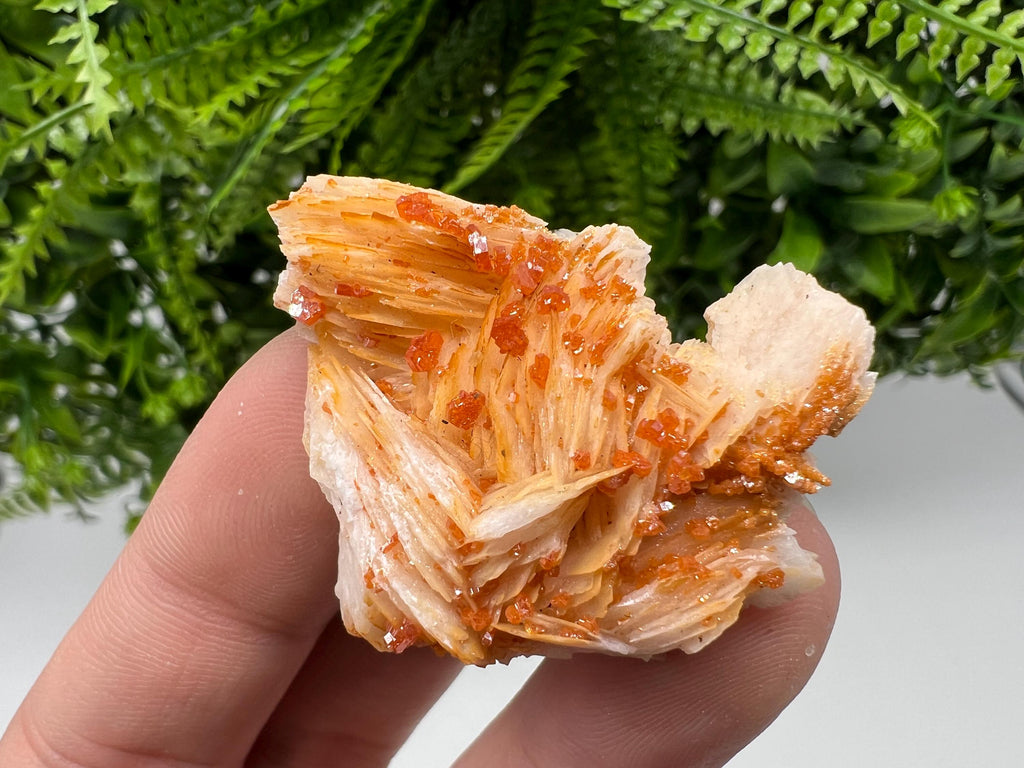 Red Vanadinite on Barite, Morocco Crystal Mineral Specimen