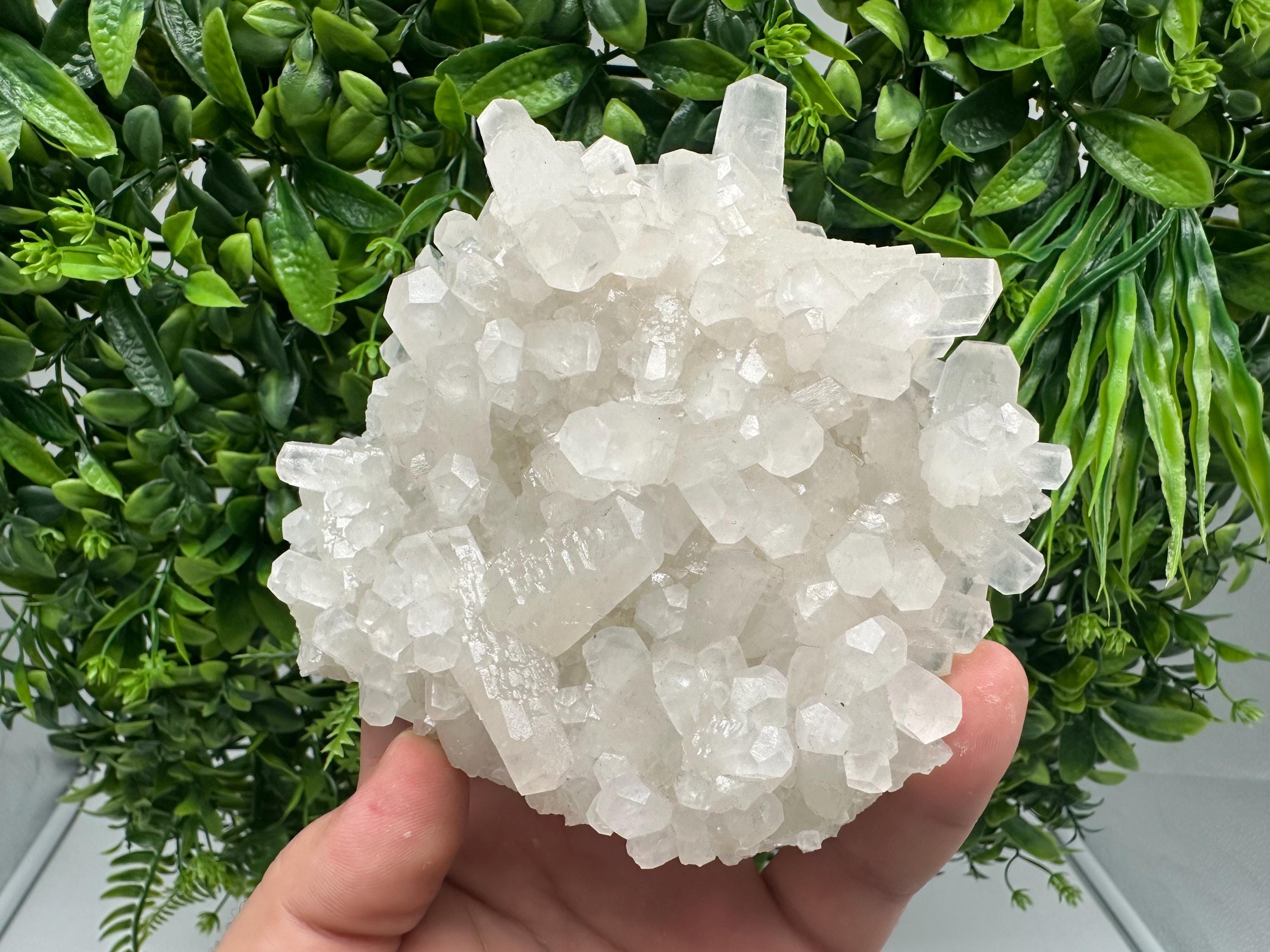 Calcite on Green Quartz: Djurcovo Mine, Bulgaria Healing Crystal