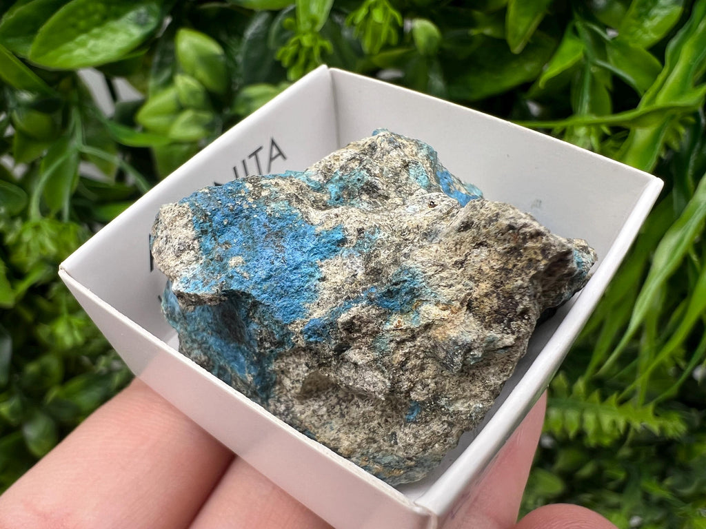 Rare Raw Aerinite Mineral Specimen: Lleida Spain Crystal Collection