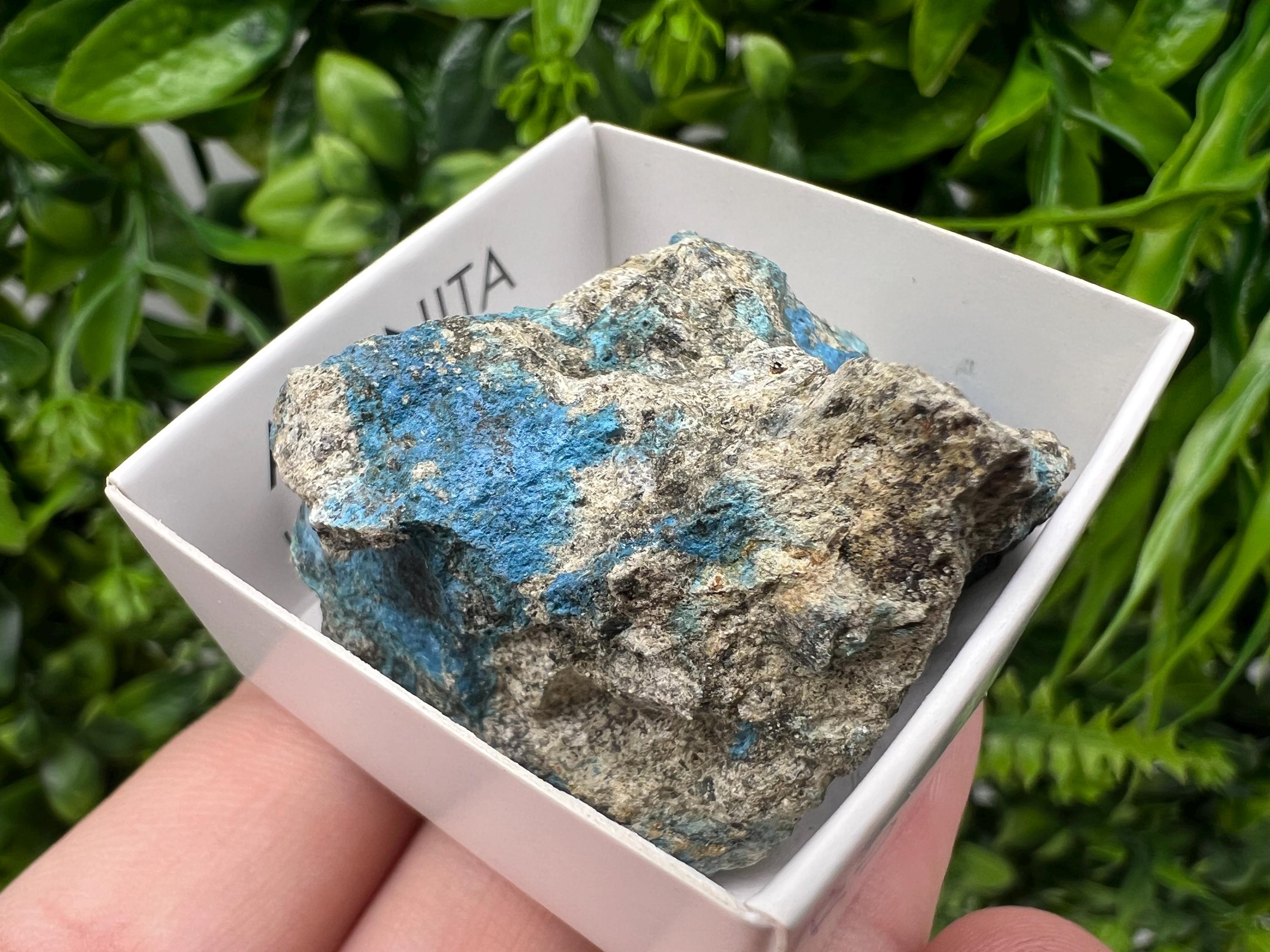 Rare Raw Aerinite Mineral Specimen: Lleida Spain Crystal Collection