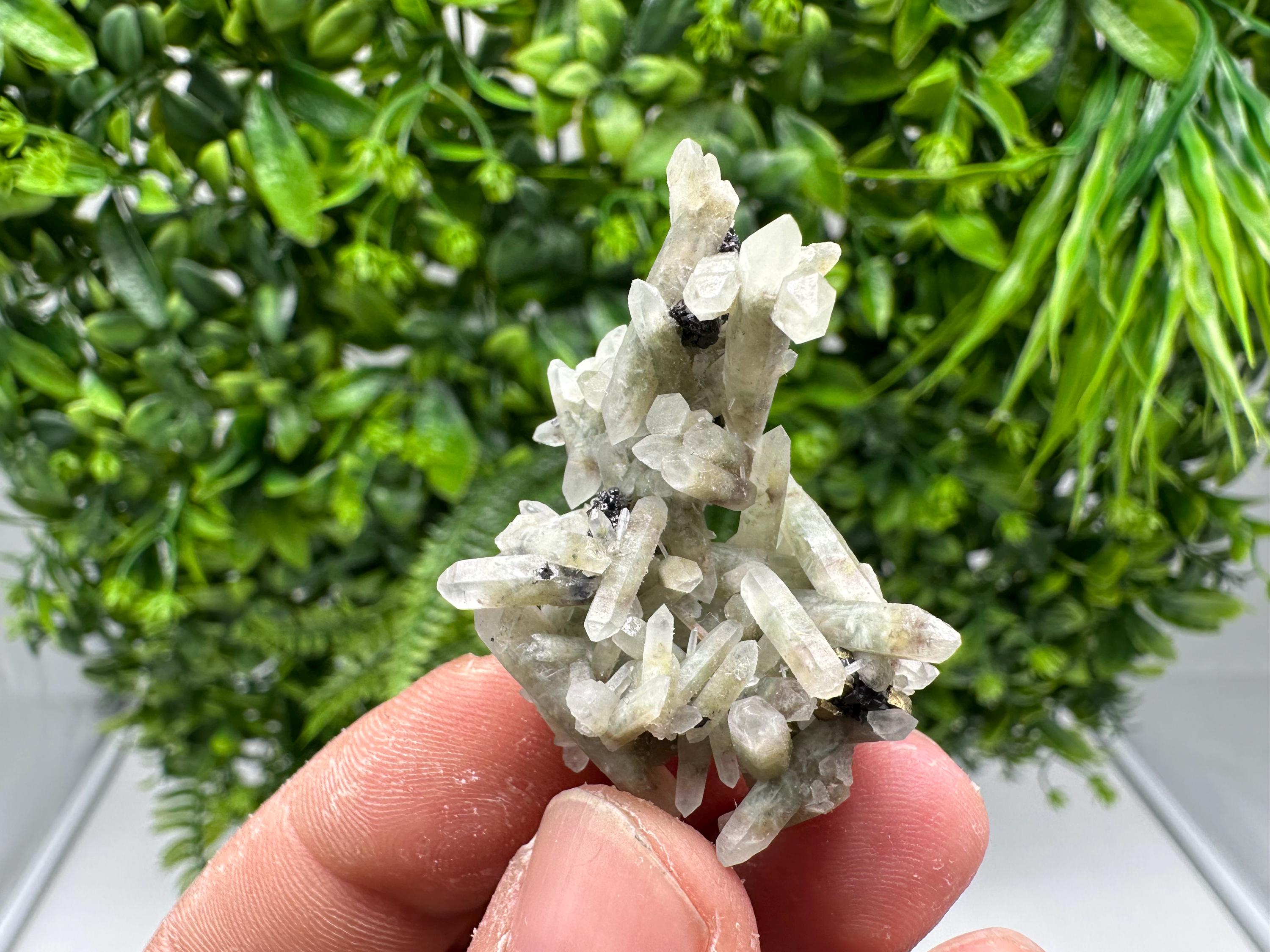 Wonderful Transparent Quartz on Chlorite Matrix,From Borieva mine,Madan,Bulgaria,Quartz,Quartz crystal,mineral specimen,collection quartz
