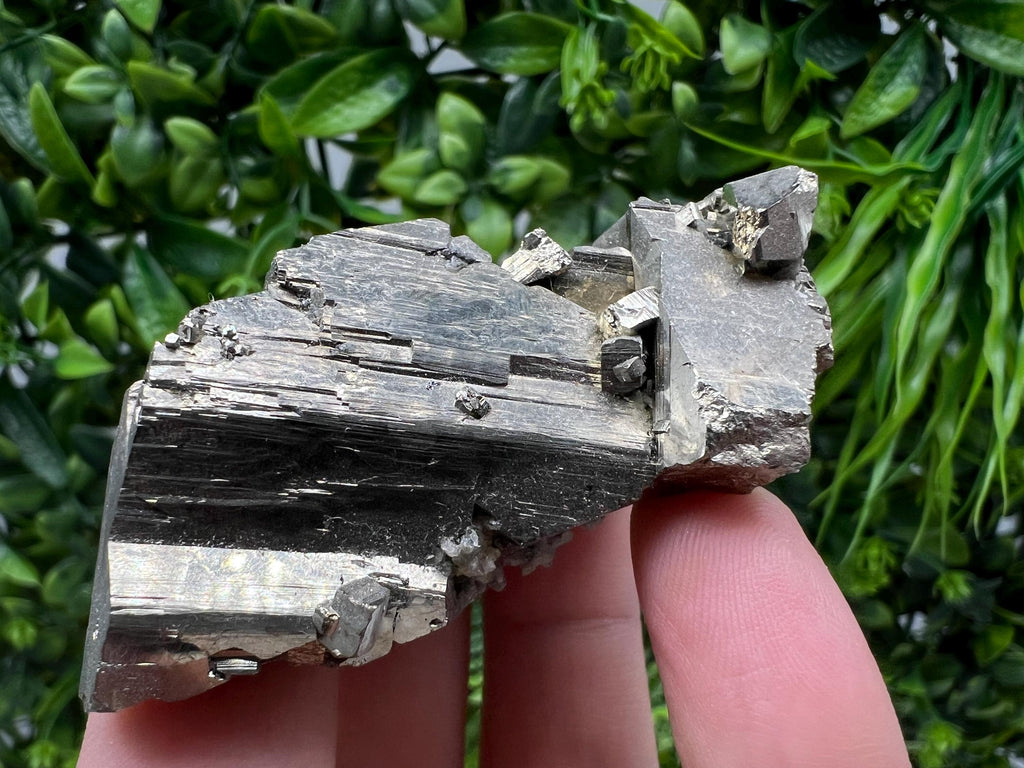 Rare crystallisation Pyrite,Borieva mine,Bulgaria,floating Pyrite,golden Pyrite,Pyrite cluster,mini Collection specimen,Rainbow Pyrite