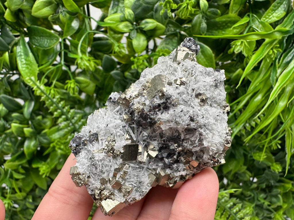 Pyrite on Green Quartz Mineral Specimen, Borieva Bulgaria