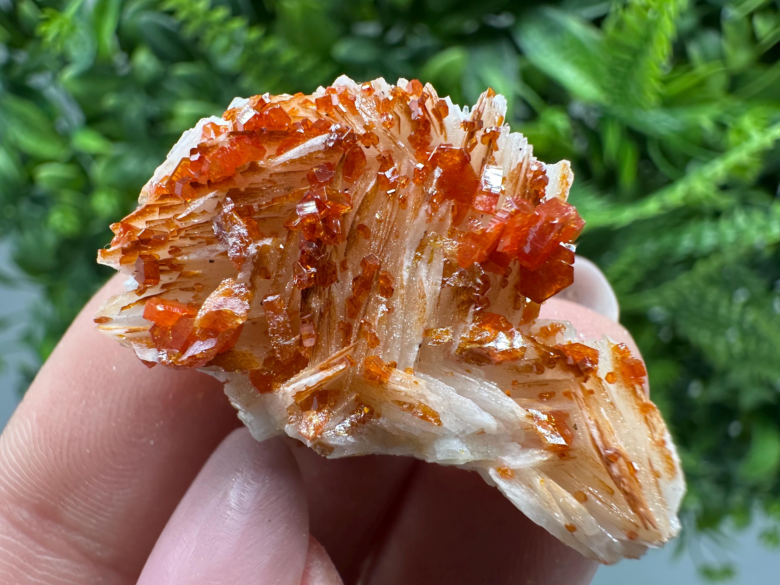 Red Vanadinite on Barite, Moroccan Crystal Specimen