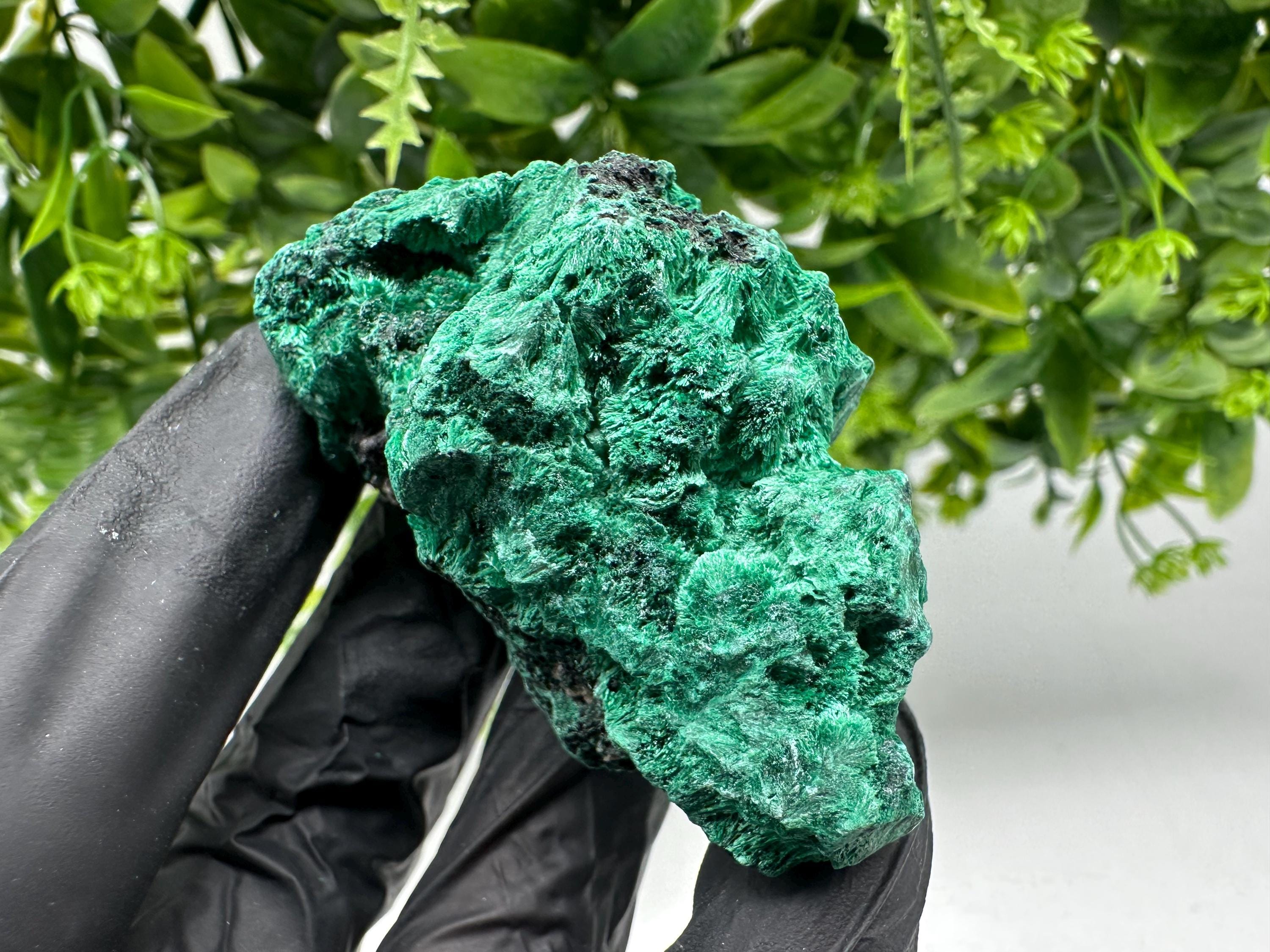 Malachite Crystal from Congo,Minerals,Crystals from Congo,Green Malachite, Malachite,Natural Malachite,Malachite Stone,Chakra, Specimens