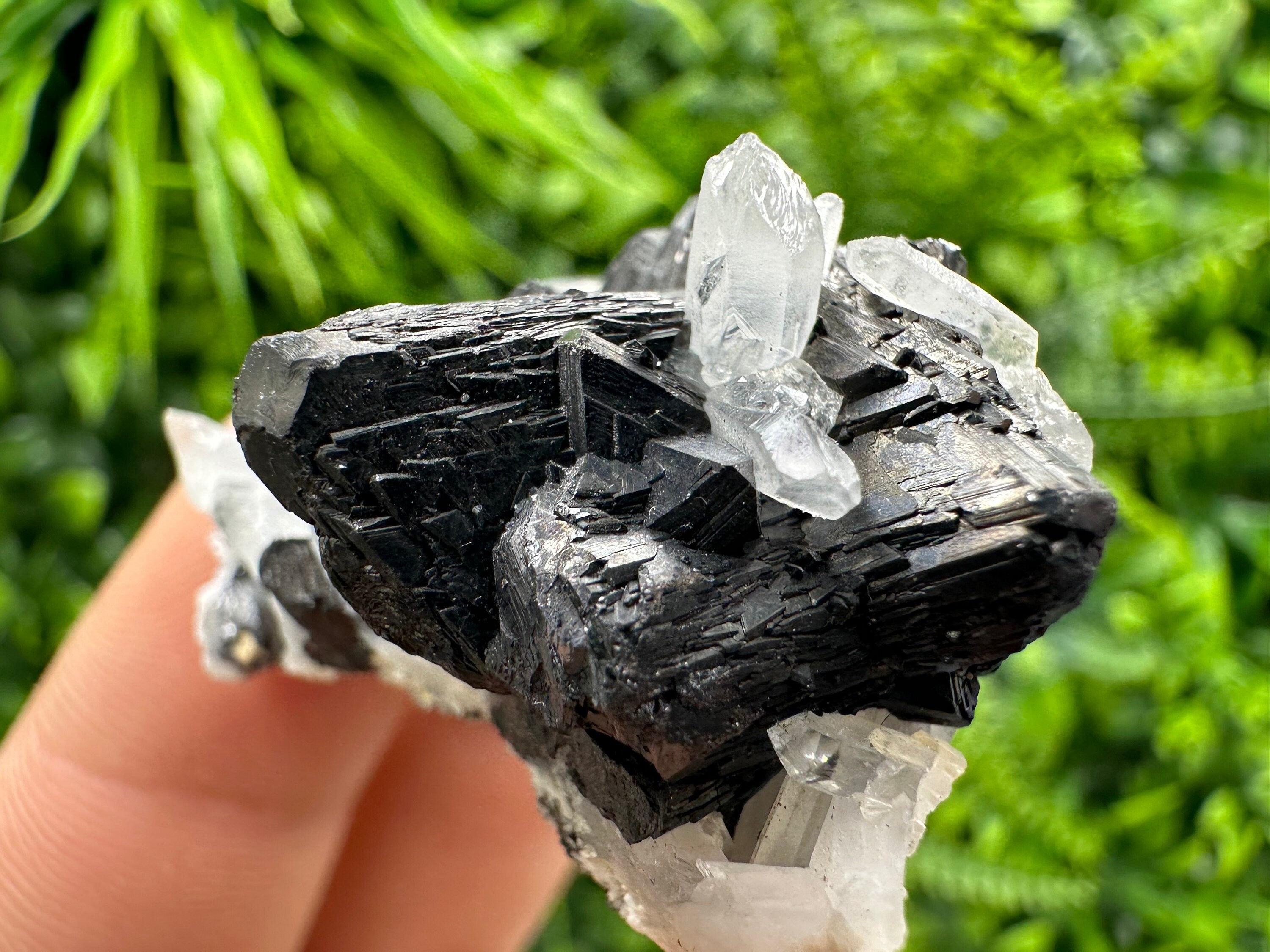 Sphalerite, Galena, Pyrite on Quartz Cluster - Borieva Mine, Bulgaria
