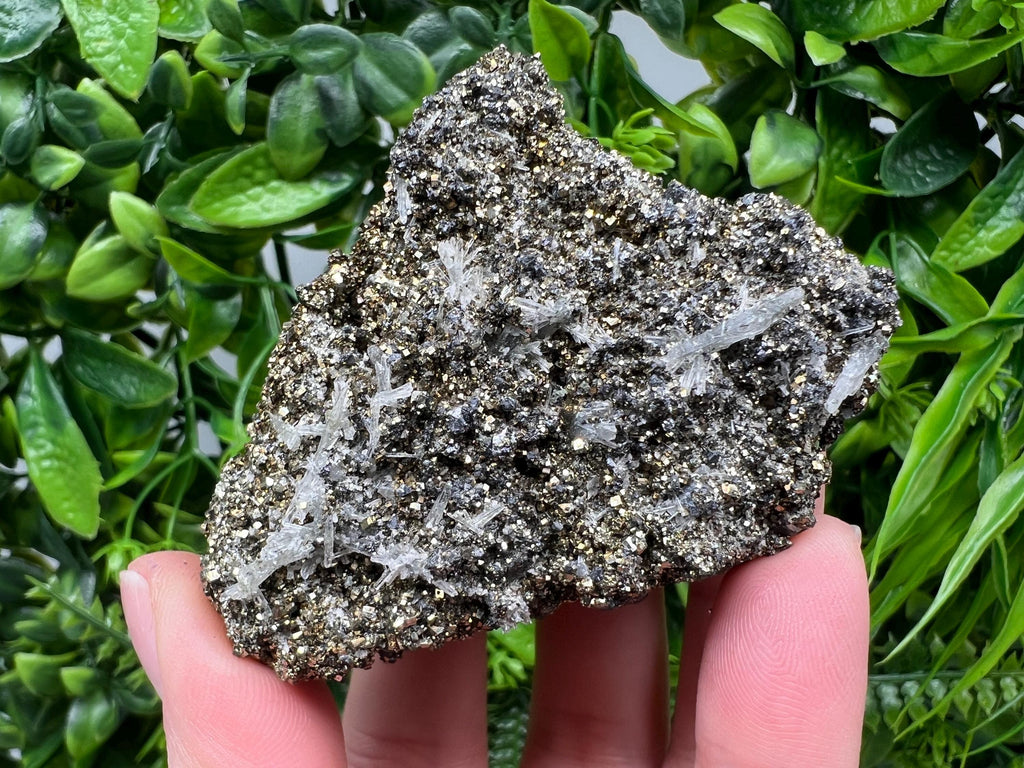 Pyrite on Green Quartz Mineral Specimen, Borieva Mine, Bulgaria