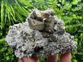 Crystallized Pyrite on Quartz, Madan Bulgaria, Home Decor