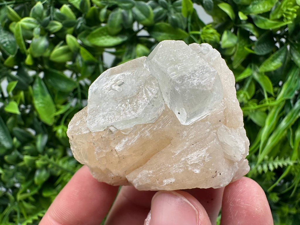 Apophyllite Stilbite on Chalcedony, India Mineral Specimen