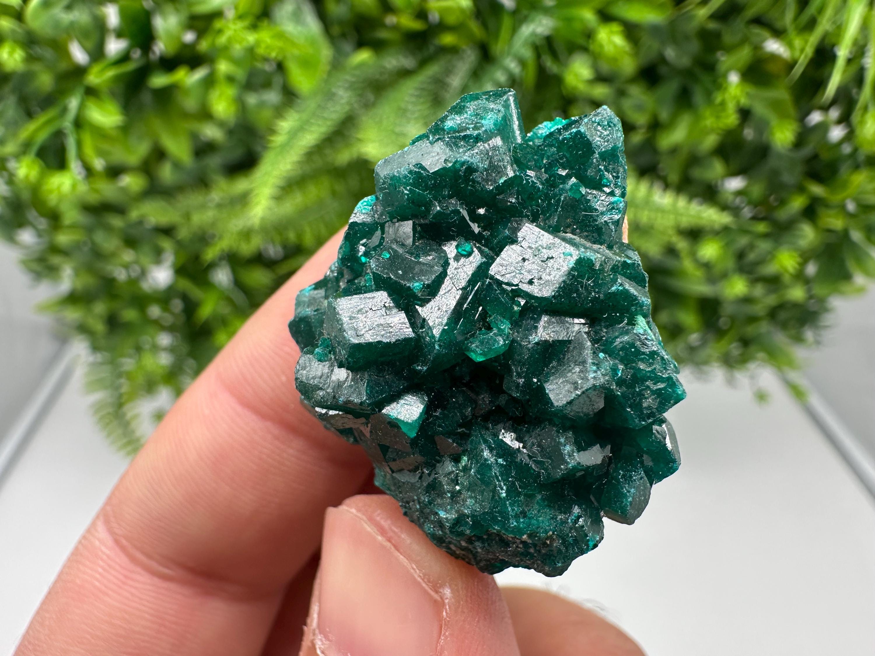 Stunning Green Dioptase from Sanda Hills,Mindouli,Pool Department,Mindouli District,Congo,green Dioptase,Dioptas Crystal,Dioptase collecting