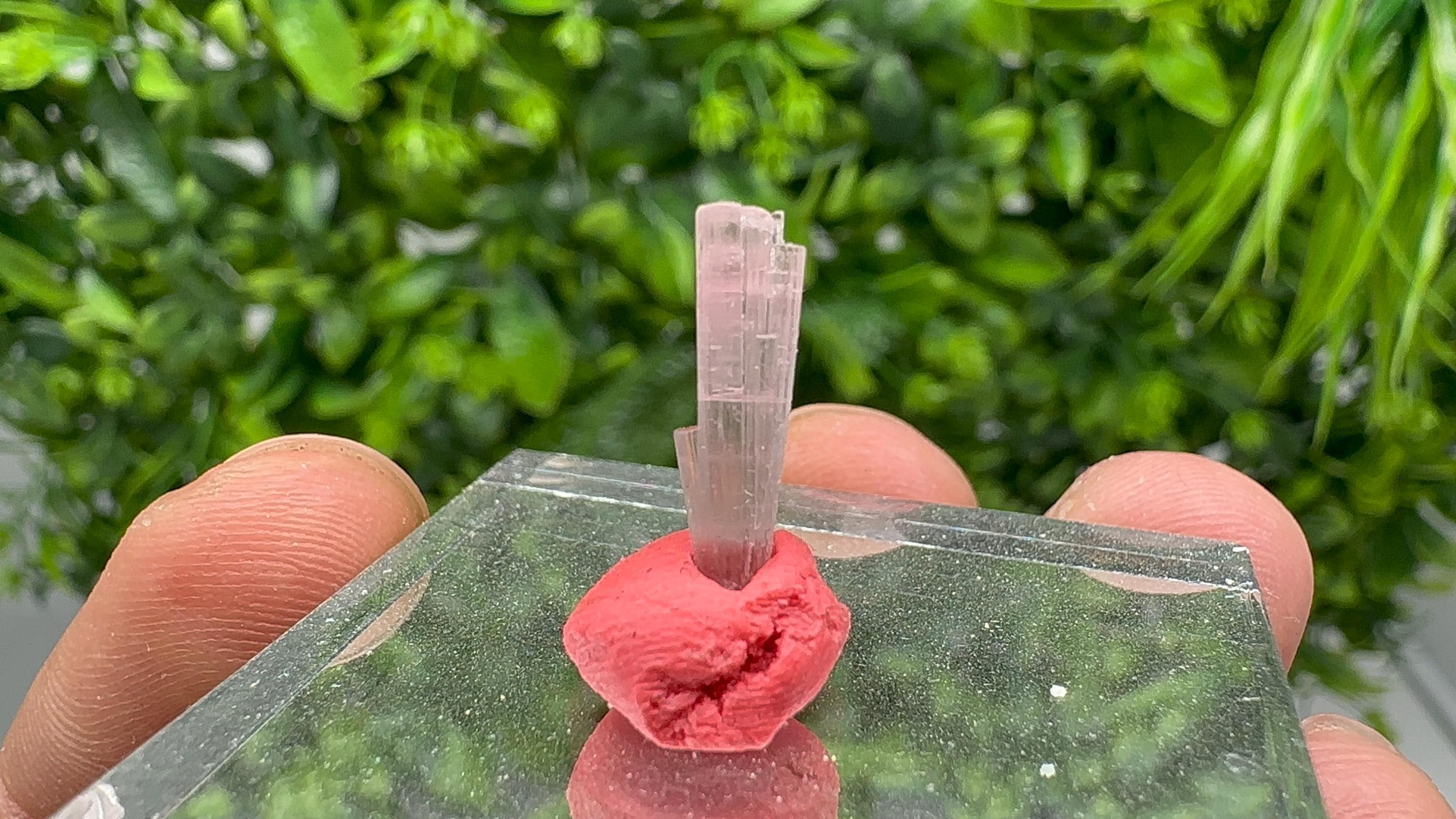Rare Pink and Green Tourmaline Pencil - 15mm