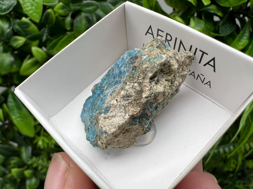 Rare Raw Aerinite Mineral Specimen: Lleida, Spain Crystal Collection