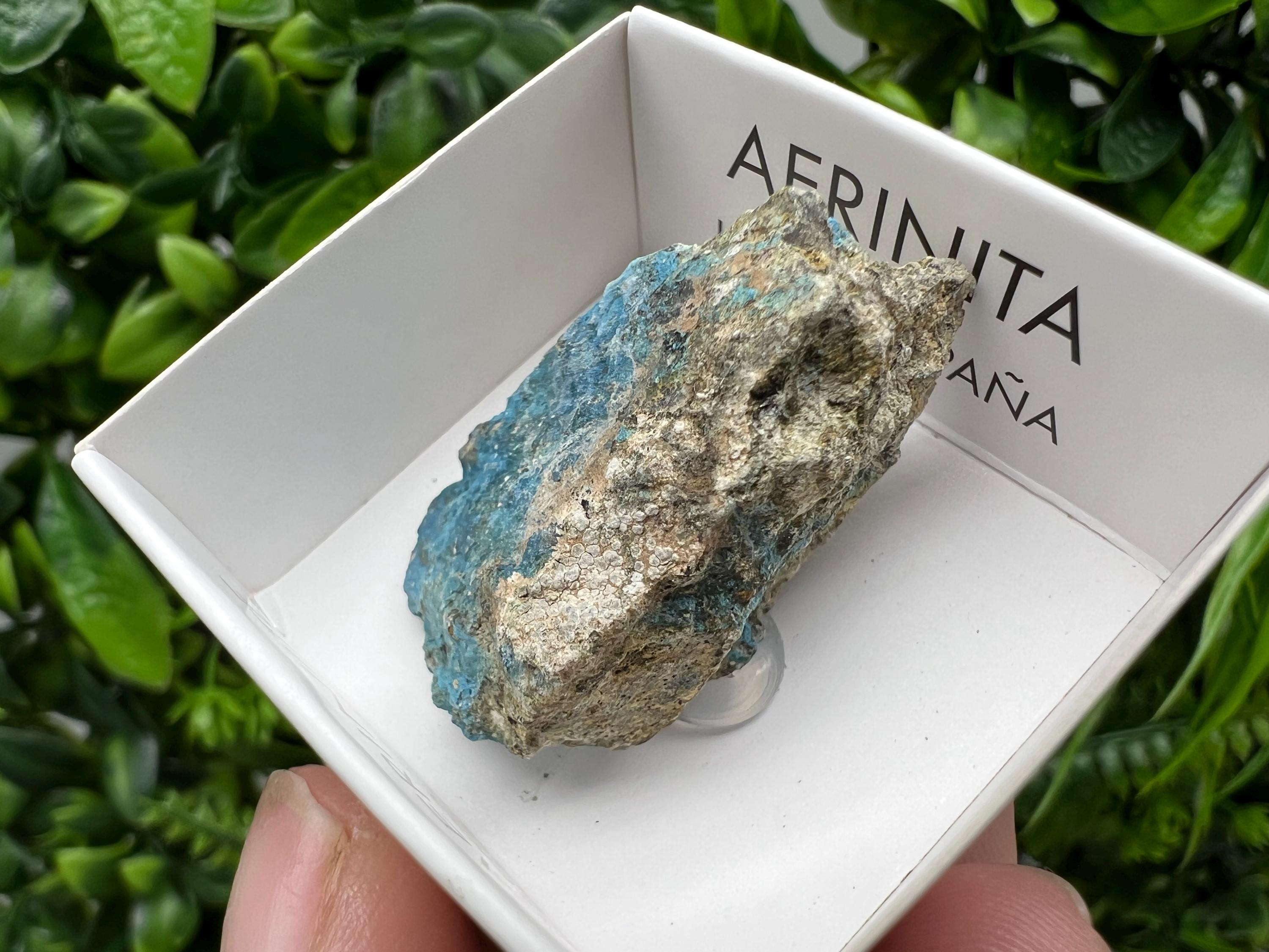 Rare Raw Aerinite Mineral Specimen: Lleida, Spain Crystal Collection