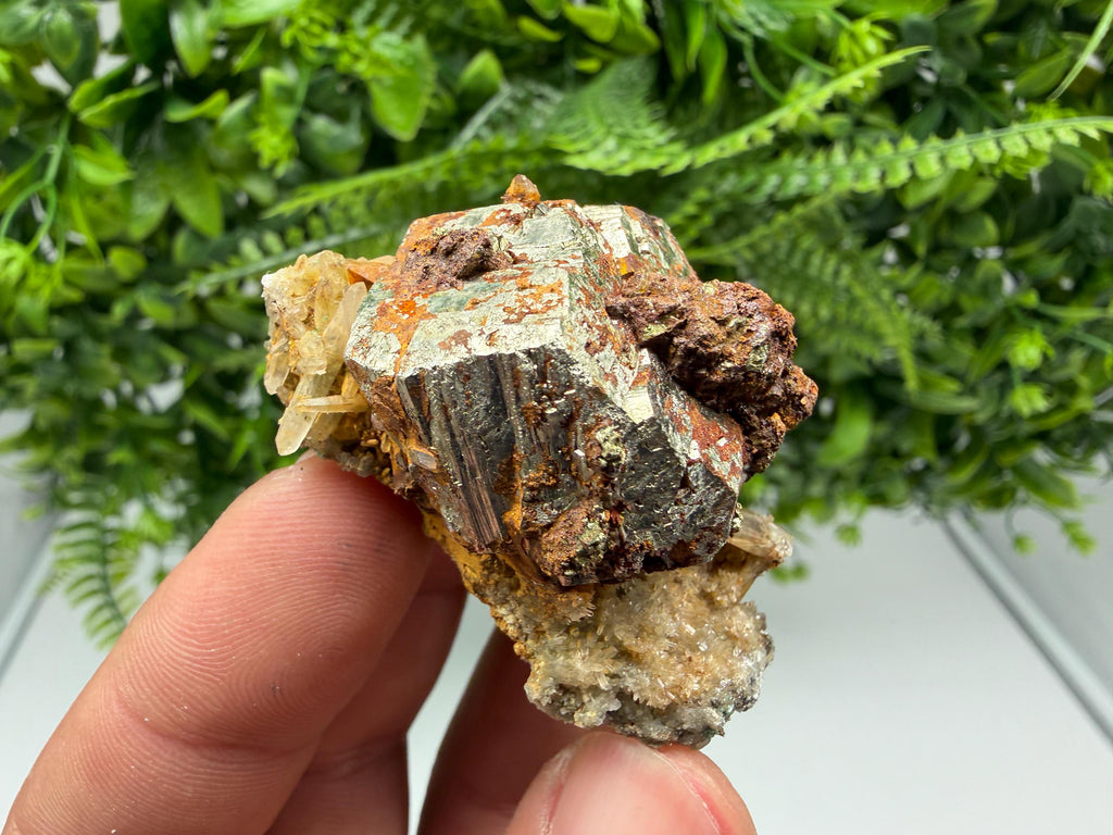 Rainbow Pyrite with Quartz, Borieva Bulgaria Mineral Specimen