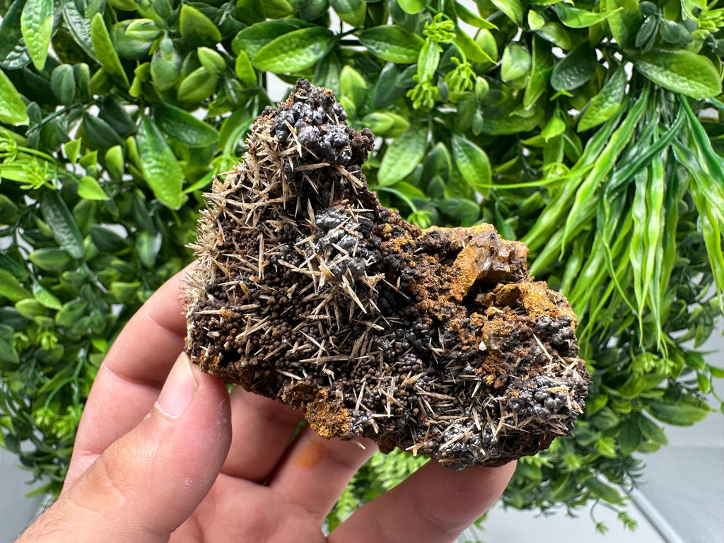 Rare Green/Yellow Pyromorphite and Hematite on Quartz, Bulgaria Mineral