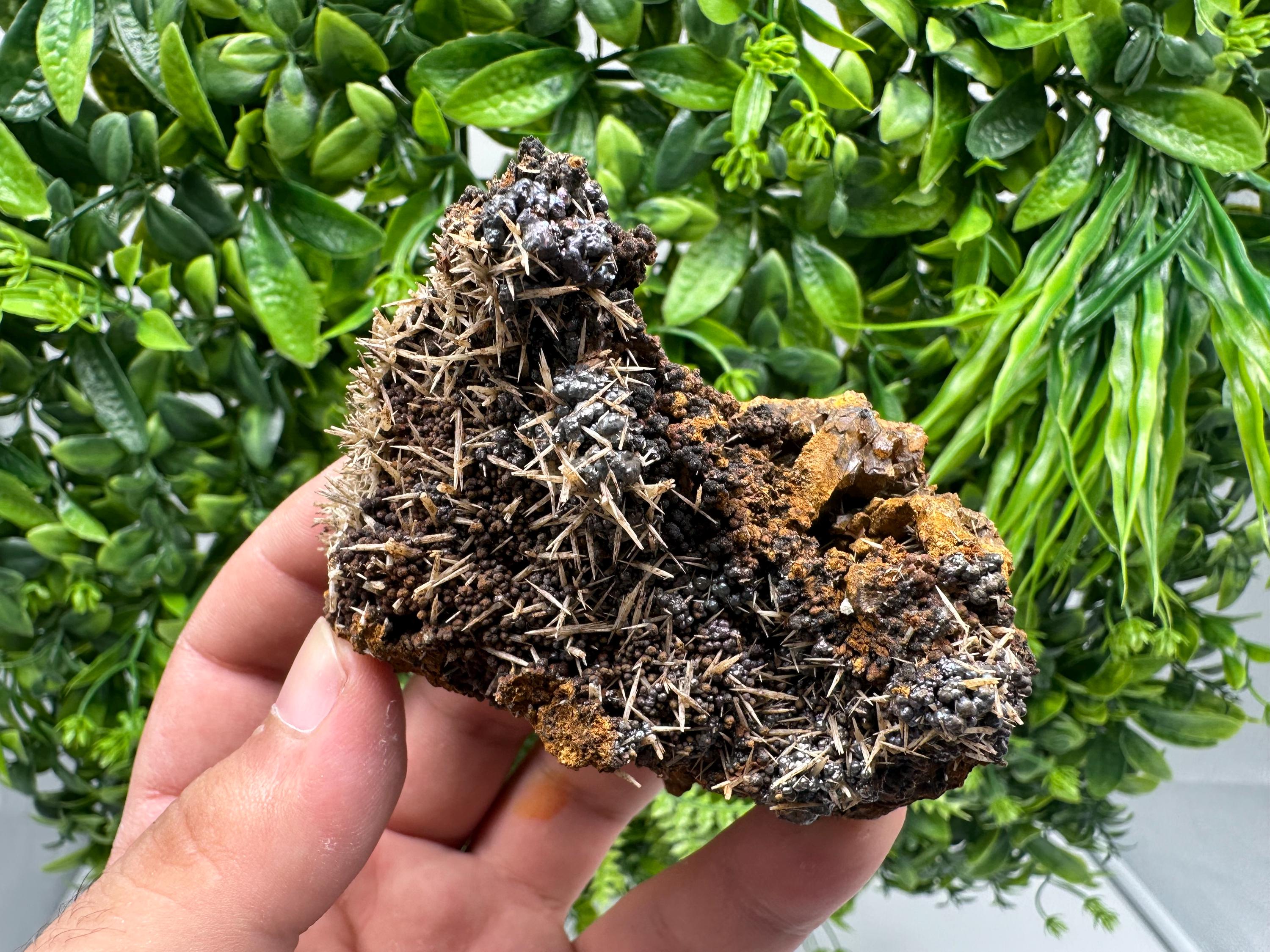 Rare Green/Yellow Pyromorphite and Hematite on Quartz, Bulgaria Mineral