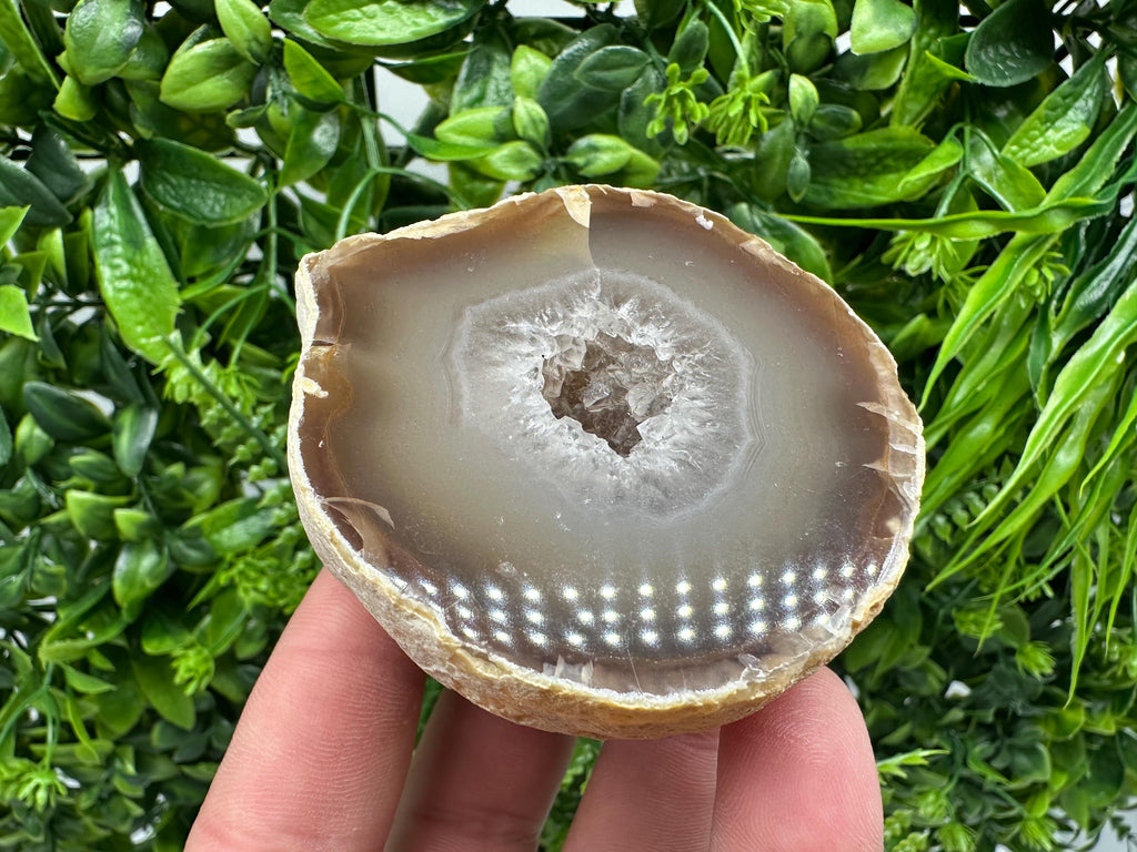 Natural Agate Druzy Geode: Quartz Crystal, 264 grams