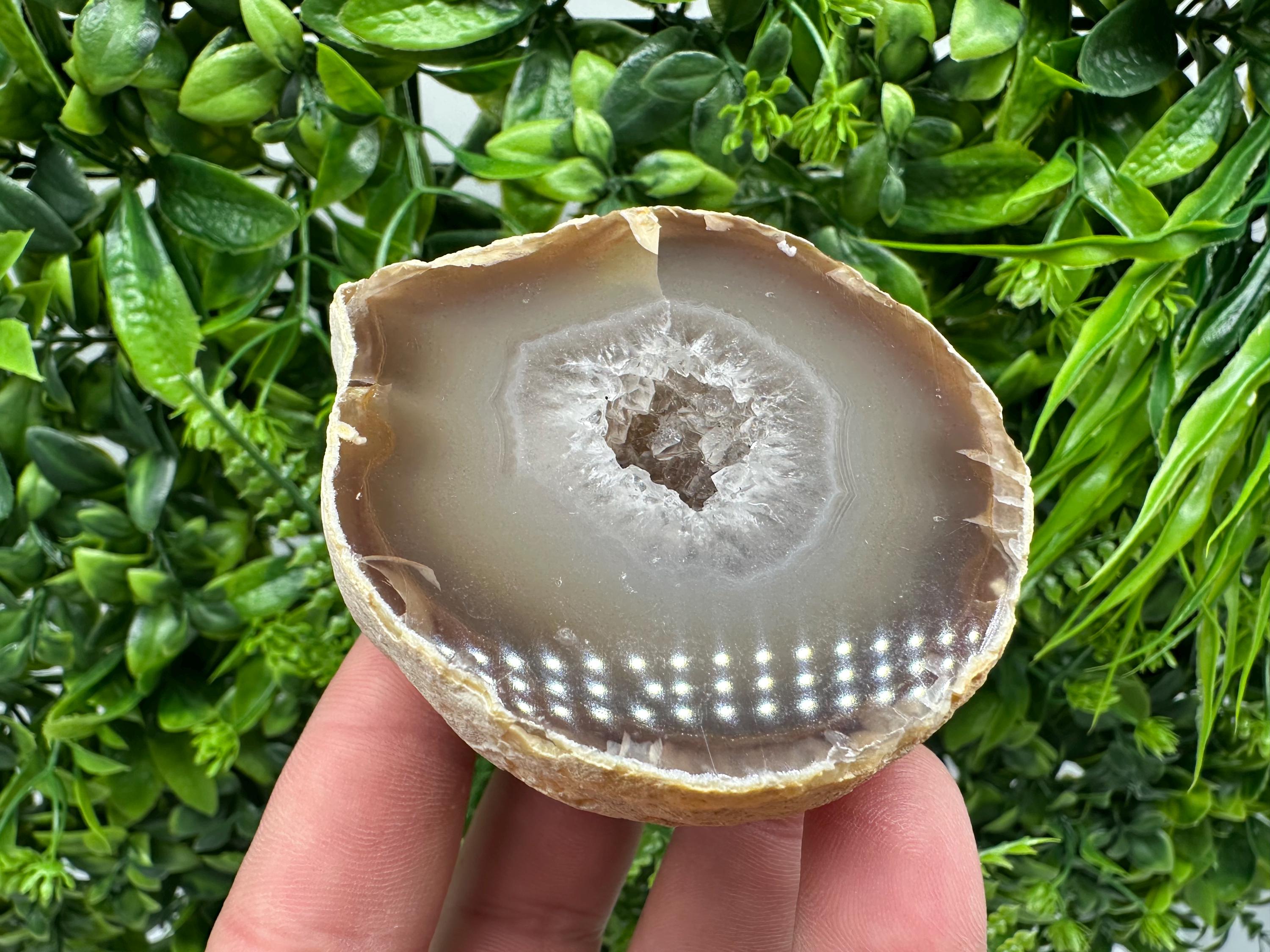 Natural Agate Druzy Geode: Quartz Crystal, 264 grams