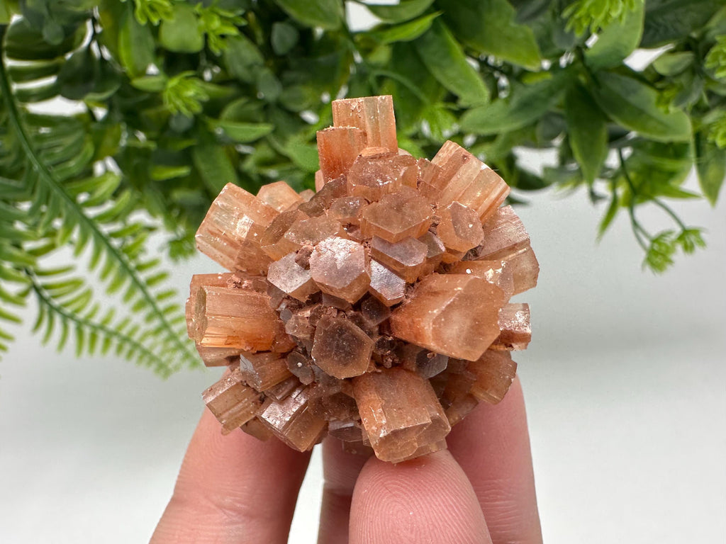 Aragonite Sputnik Cluster: Raw Moroccan Crystal Stone, Home Decor