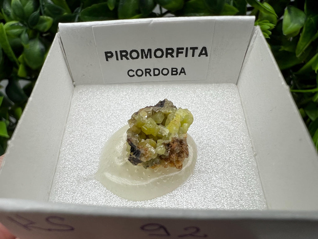Pyromorphite Stone / Pyromorphite on Matrix / Pyromorphite Crystal / Raw Crystal / Pyromorphite Cluster / Rough Pyromorphite / Pyromorphite