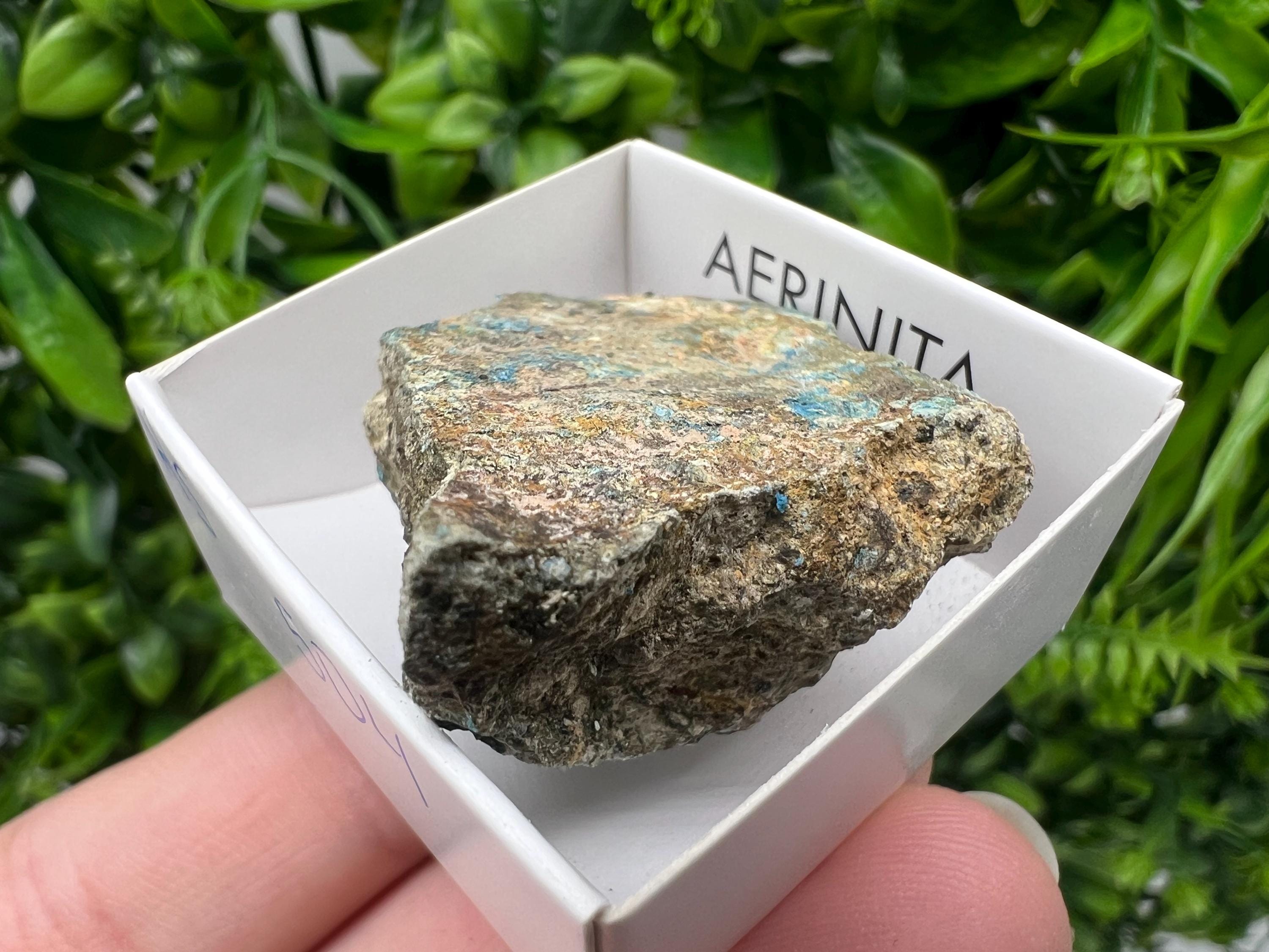 Rare Raw Aerinite Mineral Specimen: Lleida, Spain Collection Crystal