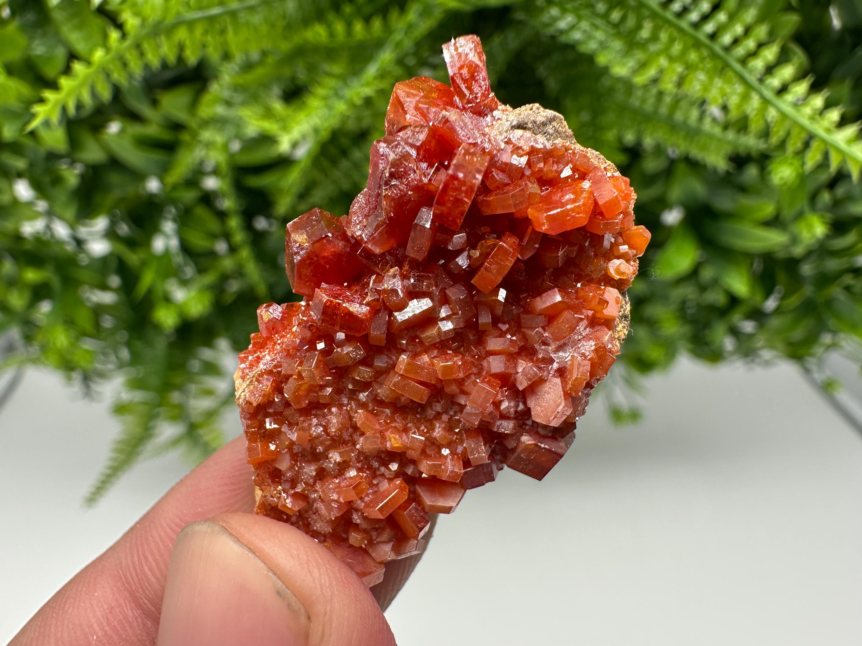Red Vanadinite on Barite from Marocco,crystal minerals Speciment cluster Vanadinite crystal Vanadinite Geology Vanadinite cluster minerals