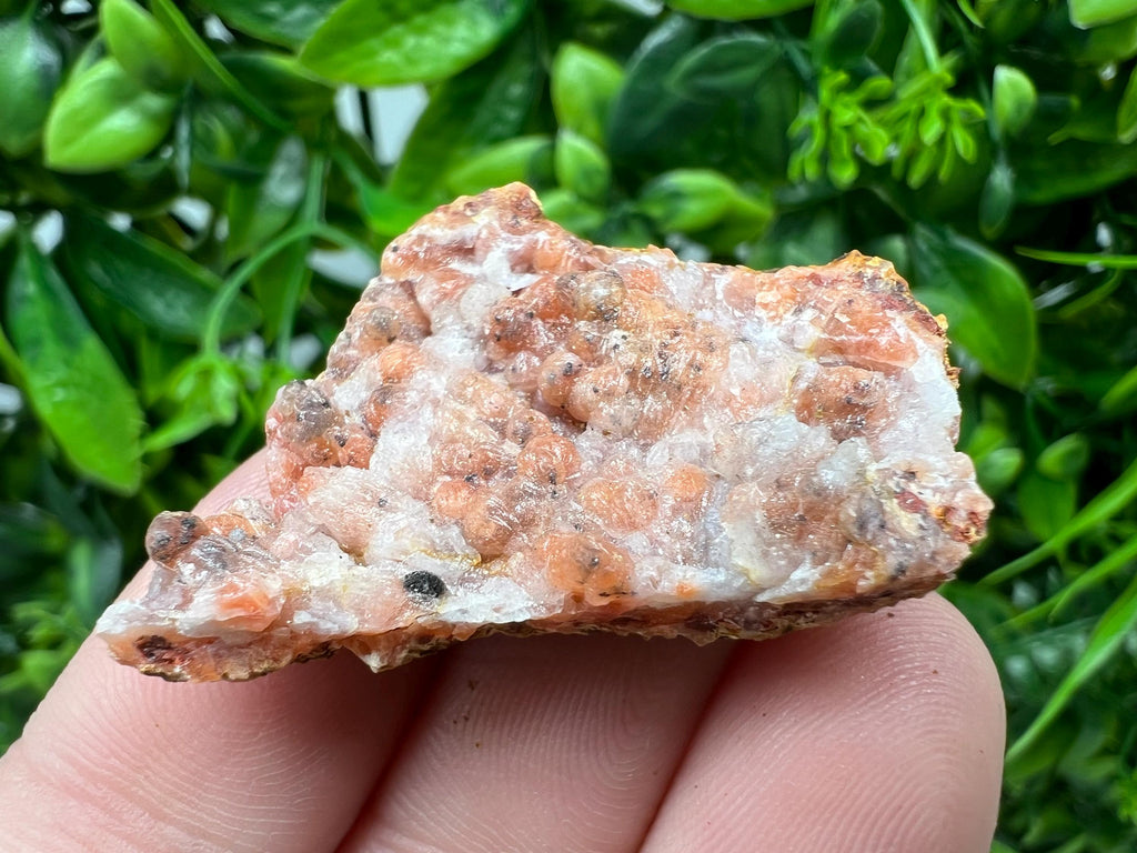 Moroccan Red Chalcedony Crystal Specimen: Rare Mineral Gift
