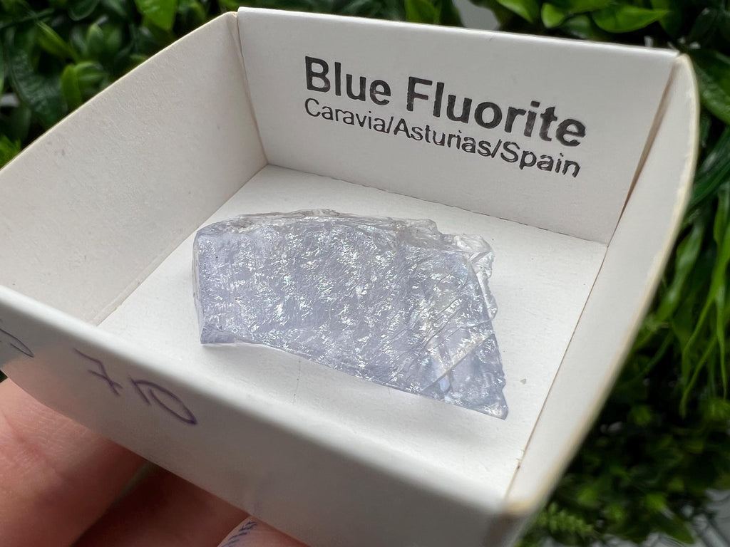 Blue Fluorite Mineral Specimen: Spain Collection (3.5/2.5 cm)