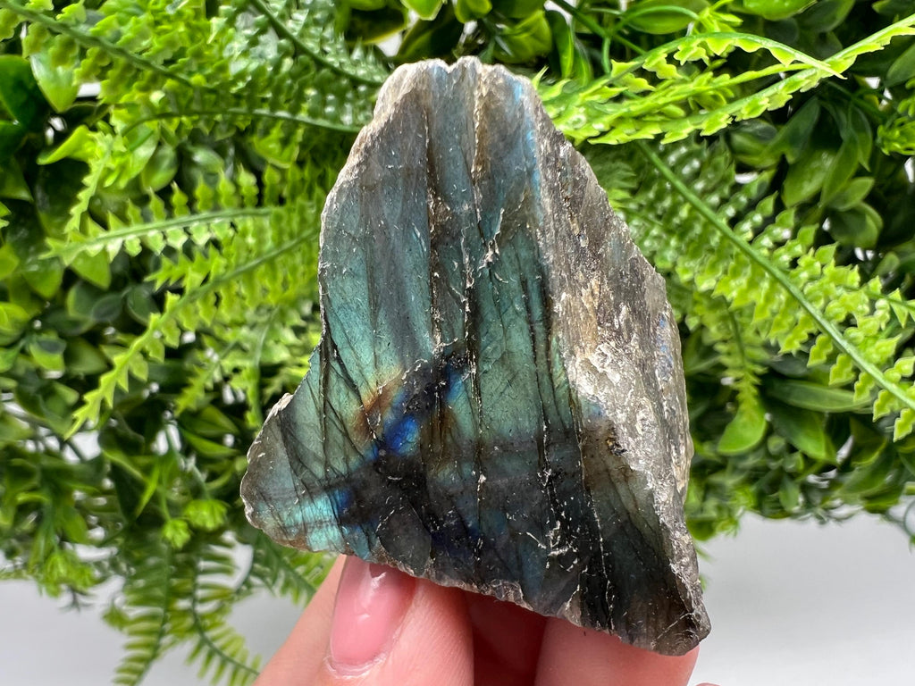 Polished Labradorite Slab: Multifire Crystal Decor - 70 Grams